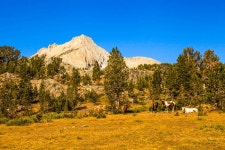 노동절 연휴 2018