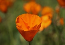 보고 담고 나누는 미국 라이프, J블로그 Koreadaily JBlog in US