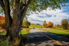 ★ 꿈꾸는 세상 ★