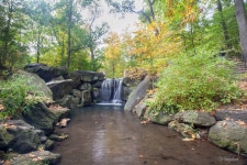 ★ 꿈꾸는 세상 ★