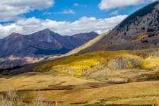 ★ 꿈꾸는 세상 ★