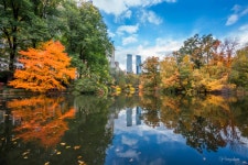 ★ 꿈꾸는 세상 ★