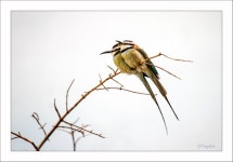 ★ 꿈꾸는 세상 ★