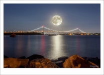 ★ 꿈꾸는 세상 ★