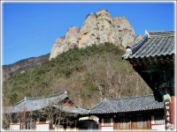 같이가요!주왕산으로