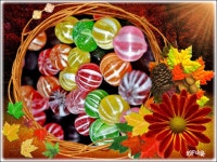 눈깔사탕 여기 있구만요!!