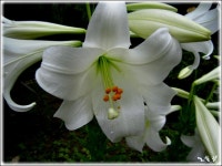 명품 놀이터엔...