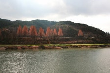 물 흐르듯 고요히 당신에게 흐릅니다(자작글)