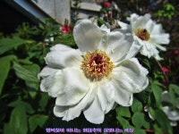 학교종이 땡땡땡!!...