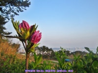 학교종이 땡땡땡!!...