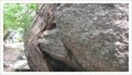 산행기 - `````청계산을 다녀와서....