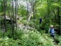 산행기 - ★화악산★ 중복날 추위를 느낀 경기도 대장산의 확트인 조망과 야생화