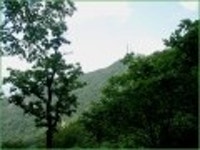 산행기 - ★화악산★ 중복날 추위를 느낀 경기도 대장산의 확트인 조망과 야생화