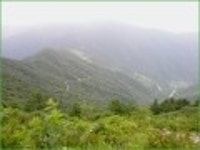 산행기 - ★화악산★ 중복날 추위를 느낀 경기도 대장산의 확트인 조망과 야생화