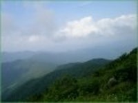 산행기 - ★화악산★ 중복날 추위를 느낀 경기도 대장산의 확트인 조망과 야생화