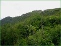 산행기 - ★화악산★ 중복날 추위를 느낀 경기도 대장산의 확트인 조망과 야생화