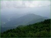 산행기 - ★화악산★ 중복날 추위를 느낀 경기도 대장산의 확트인 조망과 야생화