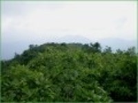 산행기 - ★화악산★ 중복날 추위를 느낀 경기도 대장산의 확트인 조망과 야생화