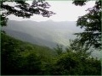 산행기 - ★화악산★ 중복날 추위를 느낀 경기도 대장산의 확트인 조망과 야생화