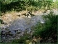 산행기 - ★화악산★ 중복날 추위를 느낀 경기도 대장산의 확트인 조망과 야생화