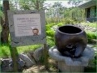 산행기 - [세미원.양평 청계산1] 아직 연꽃이 많이피어있는 세미원을 들린후 청계산으로