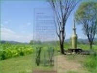 산행기 - [세미원.양평 청계산1] 아직 연꽃이 많이피어있는 세미원을 들린후 청계산으로