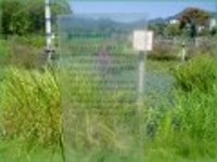 산행기 - [세미원.양평 청계산1] 아직 연꽃이 많이피어있는 세미원을 들린후 청계산으로