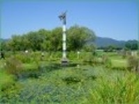 산행기 - [세미원.양평 청계산1] 아직 연꽃이 많이피어있는 세미원을 들린후 청계산으로