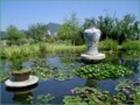 산행기 - [세미원.양평 청계산1] 아직 연꽃이 많이피어있는 세미원을 들린후 청계산으로