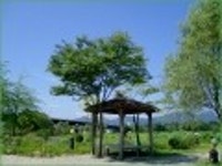 산행기 - [세미원.양평 청계산1] 아직 연꽃이 많이피어있는 세미원을 들린후 청계산으로