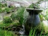 산행기 - [세미원.양평 청계산1] 아직 연꽃이 많이피어있는 세미원을 들린후 청계산으로