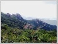 ◆천관산-억새가 들려주는 가을 노래◆산행기 - ◆천관산-억새가 들려주는 가을 노래◆