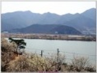 산행기 - ♣♣기찻길옆 매화마을 나들이 (원동 순매원을 찾아서) 