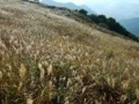 산행기 - ■ 창녕 화왕산(756m) 억새꽃 나들이 (10/14,토)