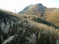 산행기 - ■ 창녕 화왕산(756m) 억새꽃 나들이 (10/14,토)