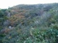 산행기 - ■ 창녕 화왕산(756m) 억새꽃 나들이 (10/14,토)