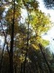 산행기 - ■ 제천 월악산(1,097m) 가을산행 (10/15,일)