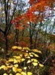산행기 - ■ 제천 월악산(1,097m) 가을산행 (10/15,일)