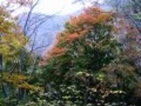 산행기 - ■ 전남 장성 백암산 백학봉 늦가을 단풍산행 (11/4,토)