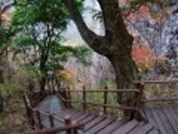 산행기 - ■ 전남 장성 백암산 백학봉 늦가을 단풍산행 (11/4,토)