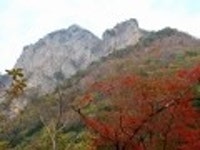 산행기 - ■ 전남 장성 백암산 백학봉 늦가을 단풍산행 (11/4,토)