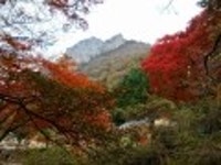 산행기 - ■ 전남 장성 백암산 백학봉 늦가을 단풍산행 (11/4,토)