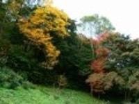산행기 - ■ 전남 장성 백암산 백학봉 늦가을 단풍산행 (11/4,토)