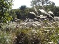 산행기 - 다방리(계석)...은동굴(동면초등)은 16-1번이 간다구요(12번도).........장군봉(금정산)