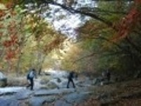 산행기 - 영남권 한국의 산하 님들을 따라.......쇠 점 골 - 용 수 골 (영남알프스)