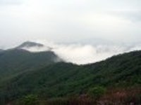 산행기 - 제암산-곰재산-사자산 보듬기