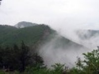 산행기 - 제암산-곰재산-사자산 보듬기