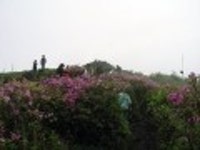 산행기 - 제암산-곰재산-사자산 보듬기