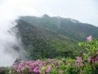 산행기 - 제암산-곰재산-사자산 보듬기