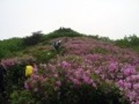 산행기 - 제암산-곰재산-사자산 보듬기